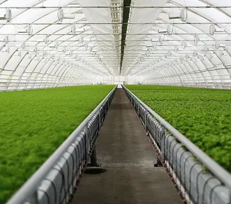 Agriculture Industry iamge